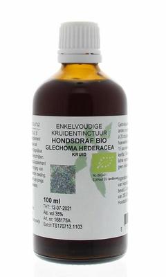 Cruydhof Glechoma hederacea / hondsdraf tinctuur bio