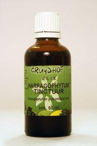 Natura Sanat Hyssopus officinalis herba tinctuur bio