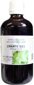 Ribes nigrum / zwarte bes tinctuur bio