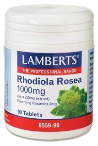 Lamberts rhodiola - 90tb