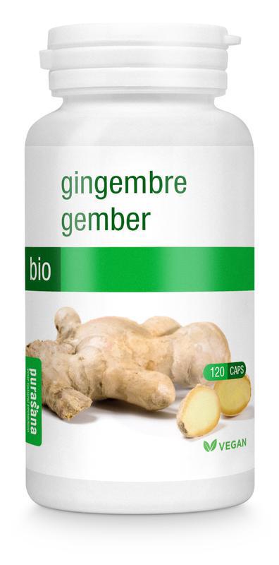 Gember /gingembre vegan bio