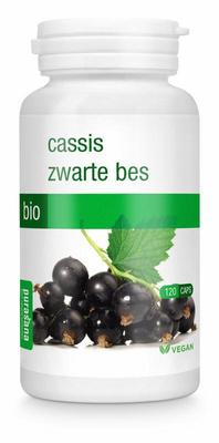 Purasana Zwarte bes/cassis vegan bio
