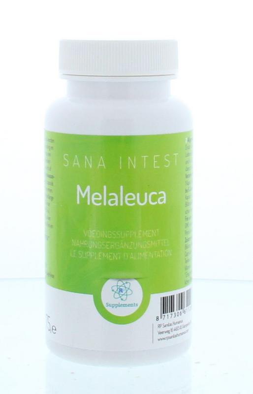 Melaleuca