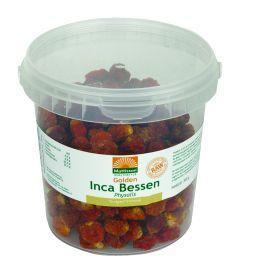 Bessen golden Inca physalis bio