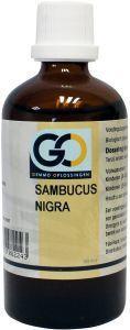 GO Sambucus nigra bio