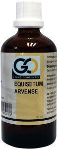 GO Equisetum arvense bio