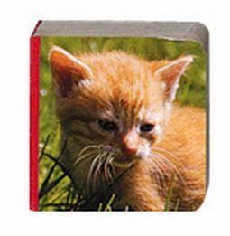 mini kubusblokkartonboekj 1 k boek