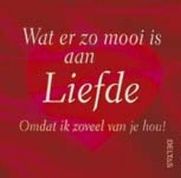 Merkloos wat er zo mooi is aan liefde boek