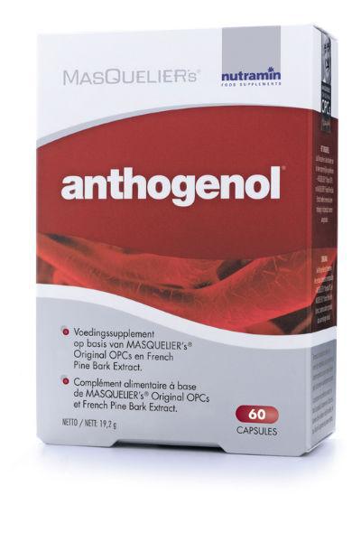 Anthogenol / 60cp