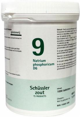 Pfluger Natrium phosphoricum 9 D6 Schussler
