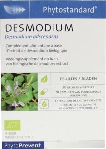 Desmodium