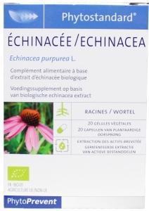 PILEJE Echinacea 20cap