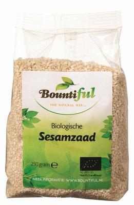 Bountiful Sesamzaad bio