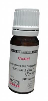 DNH Coxiel