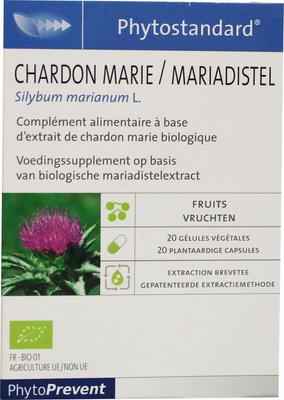 PILEJE Mariadistel 20ca