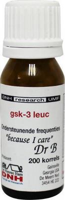 DNH GSK 3 leuc 658