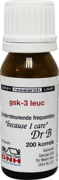 GSK 3 leuc 658