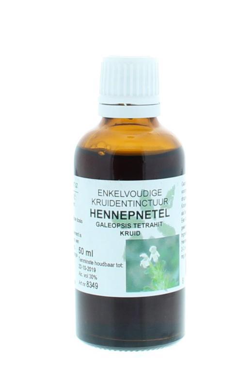 Galeopsis tetrahit herb / hennepnetel tinctuur