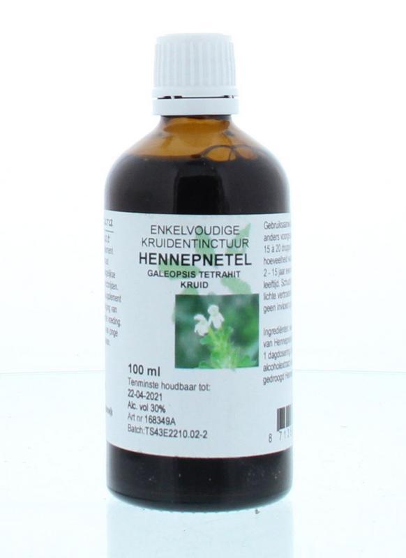 Galeopsis tetrahit herb / hennepnetel tinctuur