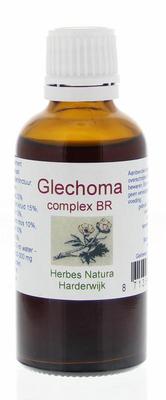 HERBES NATURA Glechoma complex