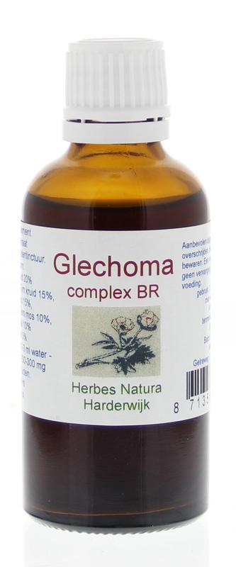 Glechoma complex