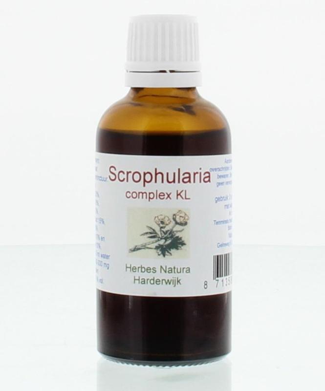 Scrophularia complex