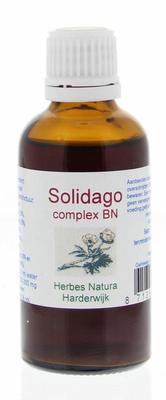 HERBES NATURA Solidago complex
