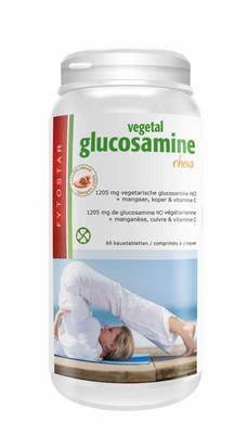 Fytostar glucosamine chew- 60tb