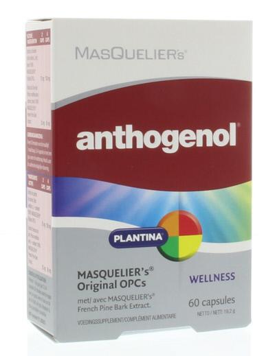 anthogenol 60cap