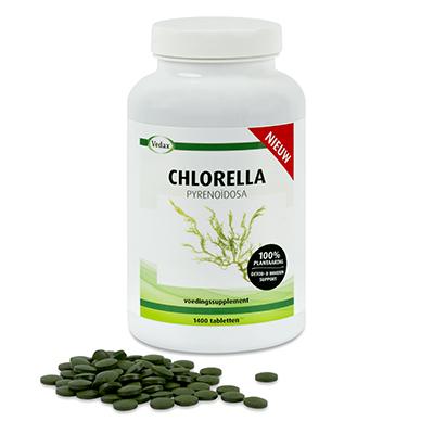 Chlorella pyrenoidosa