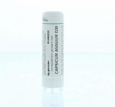 Homeoden Heel Capsicum annuum D30