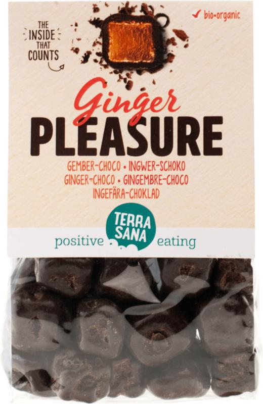 Ginger pleasure choco bio