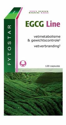 Fytostar EGCG line maxi