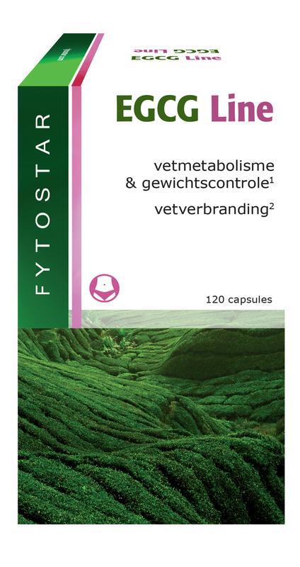 EGCG line maxi