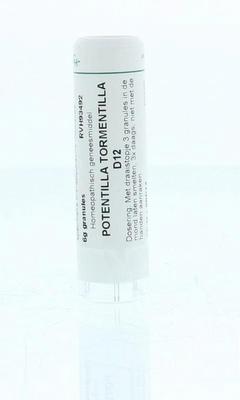 Homeoden Heel Potentilla tormentilla D12