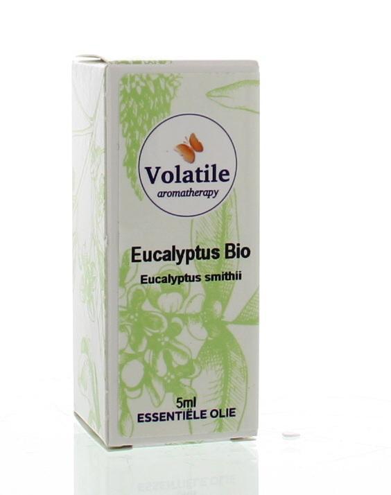 Eucalyptus smithii bio