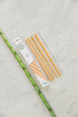 Nordics Bamboe drinkrietjes