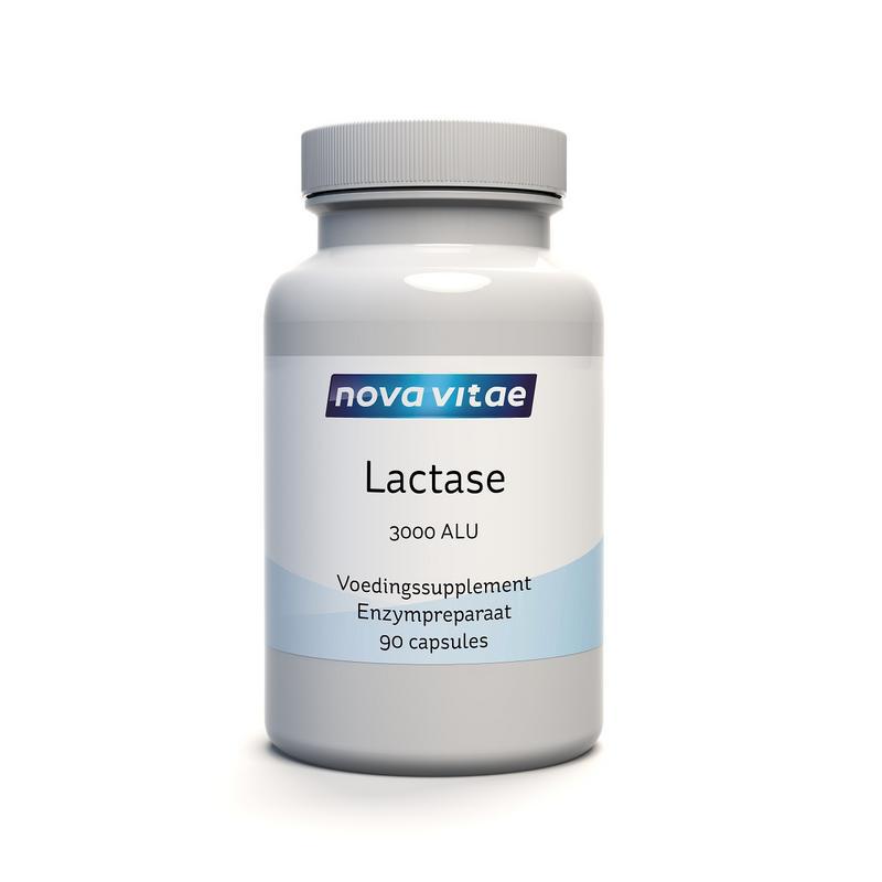 Lactase enzym