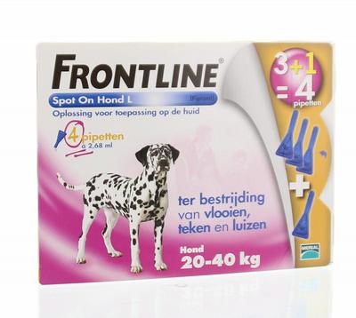 FRONTLINE Frontline spot on hond L