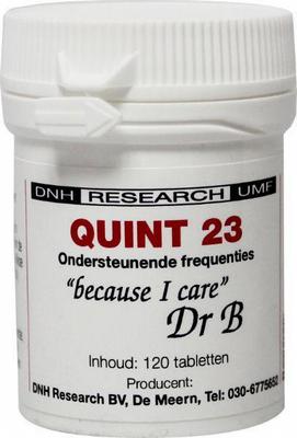 DNH Quint 23