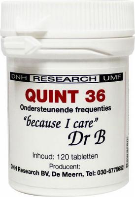 DNH Quint 36