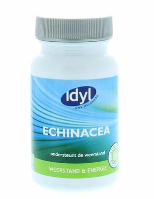 Idyl Echinacea