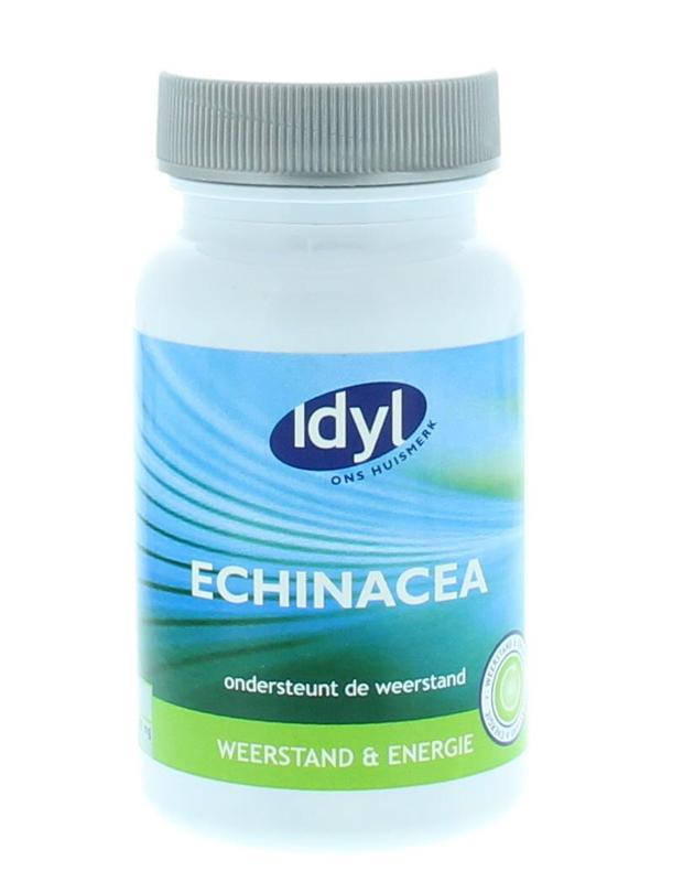Echinacea