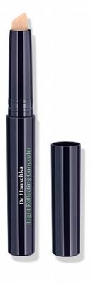 Hauschka Concealer (02 chestnut)