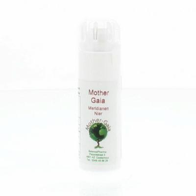 Mother Gaia Meridiaan 06 nier