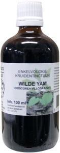 Dioscorea villosa / wilde yam tinctuur