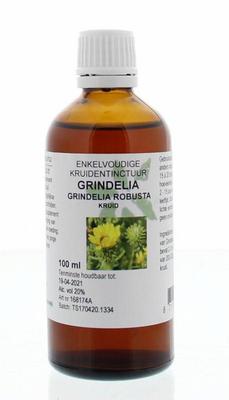 Natura Sanat Grindelia robusta herba tinctuur