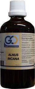 GO Alnus incana bio