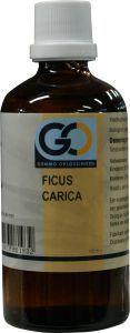 Ficus carica bio