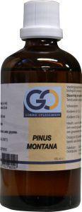 GO Pinus montana